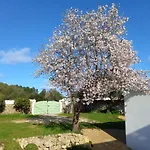 Sa Tanka Gran Terreno Con Piscina * Alaior