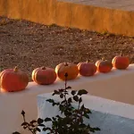 Sa Tanka Gran Terreno Con Piscina Appartement