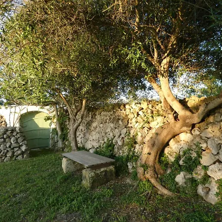 Sa Tanka Gran Terreno Con Piscina