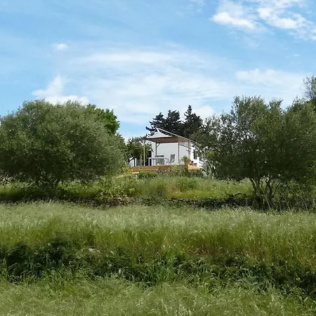 Sa Tanka Gran Terreno Con Piscina *