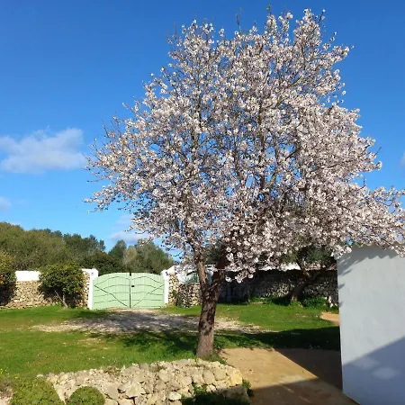 Sa Tanka Gran Terreno Con Piscina * Alaior