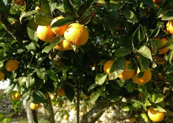 Appartamento Sa Tanka Gran Terreno Con Piscina *