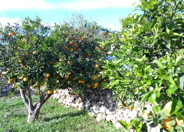Appartamento Sa Tanka Gran Terreno Con Piscina