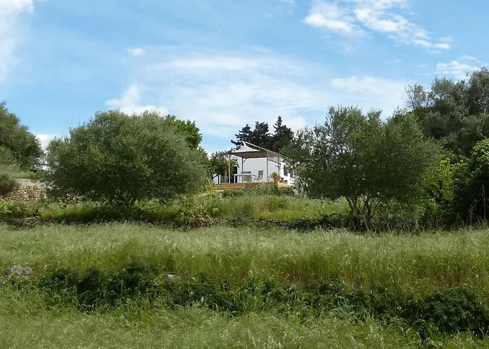 Sa Tanka Gran Terreno Con Piscina *