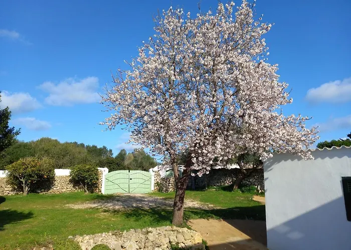 Sa Tanka Gran Terreno Con Piscina * Alaior