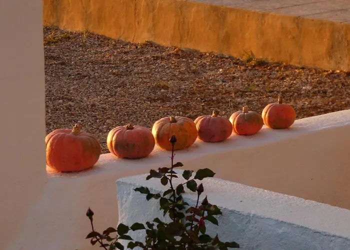 Sa Tanka Gran Terreno Con Piscina Appartamento