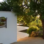 Sa Tanka Gran Terreno Con Piscina 阿莱奥尔