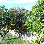 公寓 Sa Tanka Gran Terreno Con Piscina