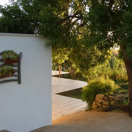 Sa Tanka Gran Terreno Con Piscina Alaior