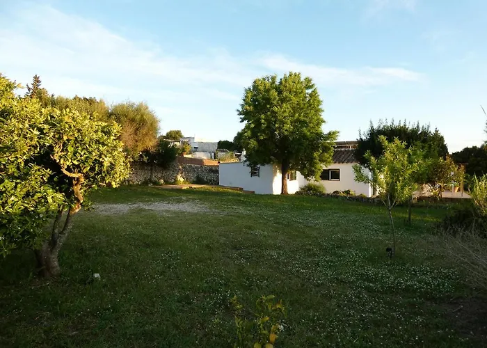 Sa Tanka Gran Terreno Con Piscina *