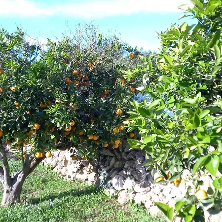 아파트 Sa Tanka Gran Terreno Con Piscina